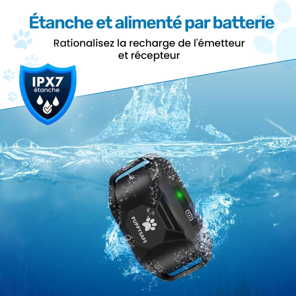 Collier de Dressage PuppySafe - Sans Choc Électrique