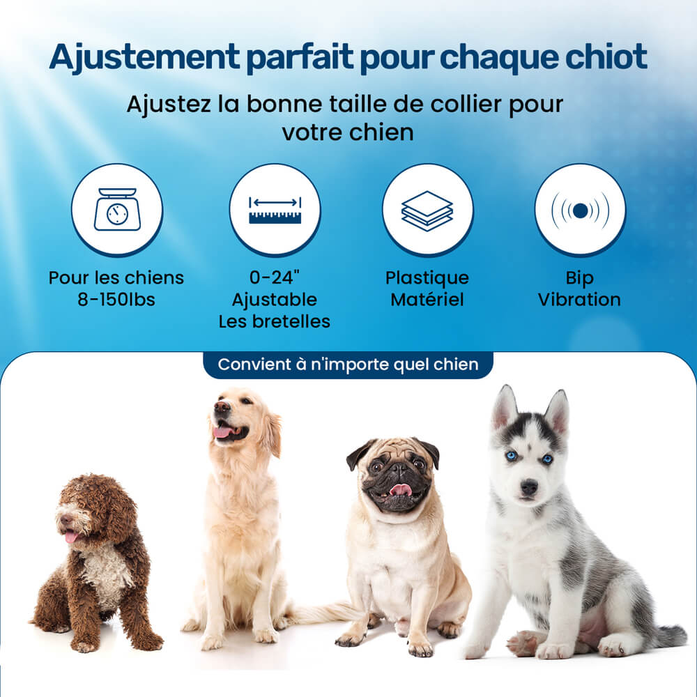 Collier de Dressage PuppySafe - Sans Choc Électrique