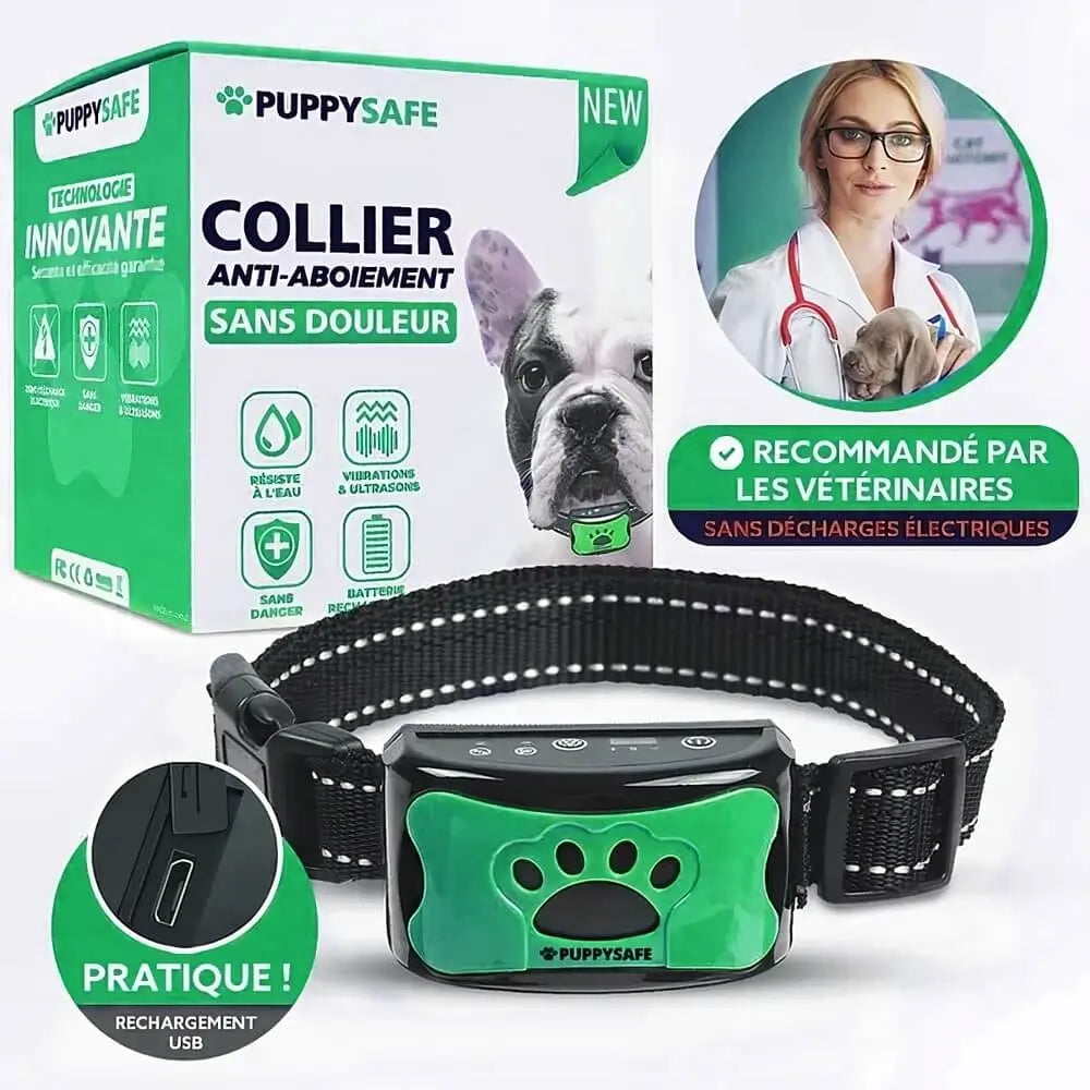 collier anti aboiement pour chihuahua