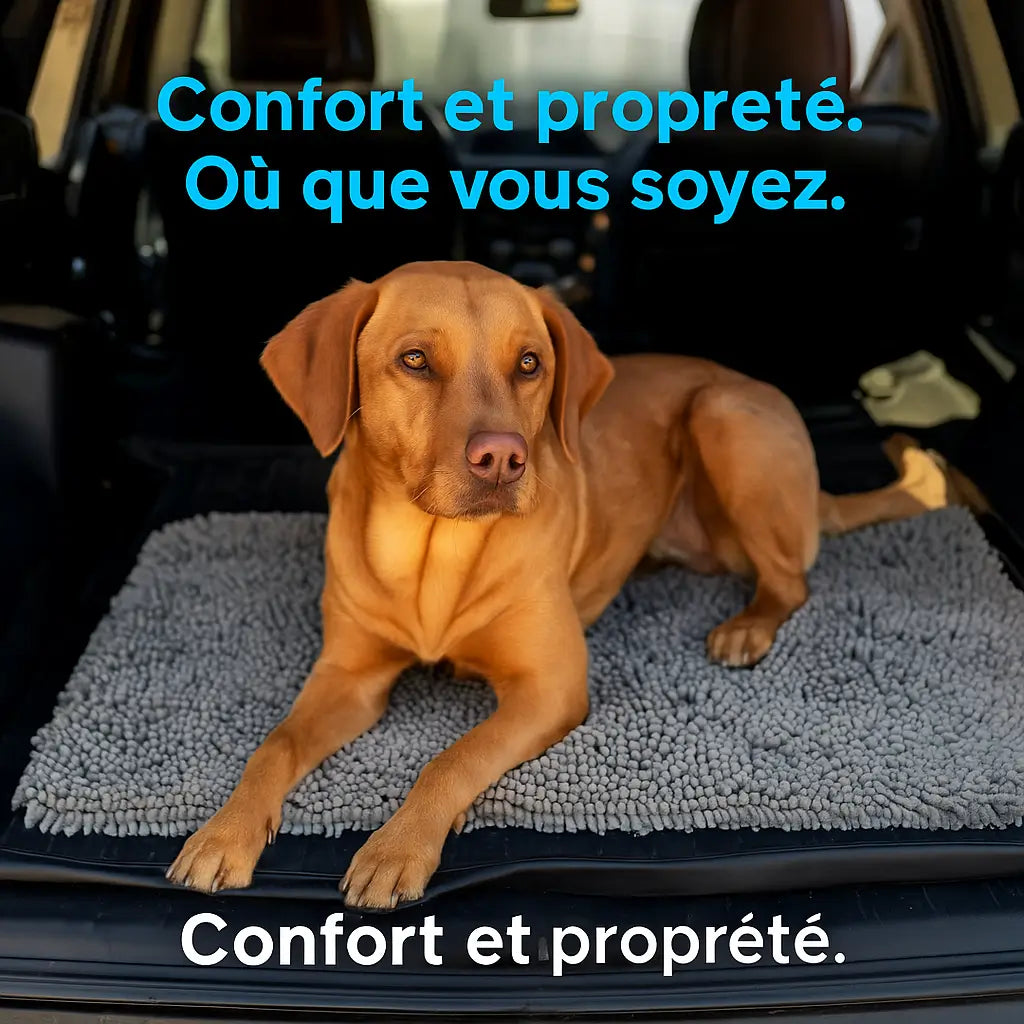 PuppyClean – Le tapis anti-pattes sales
