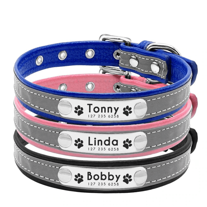 Collier Personnalisable & Réfléchissant PuppySafe™