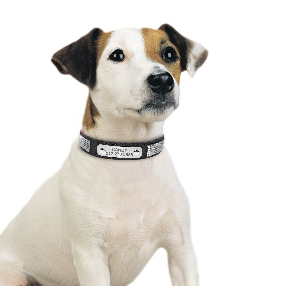 Collier Chien Personnalisé Modèle Strass