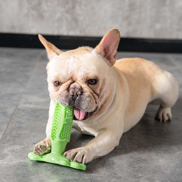 Jouet à Mâcher et à Laver les Dents PuppySafe