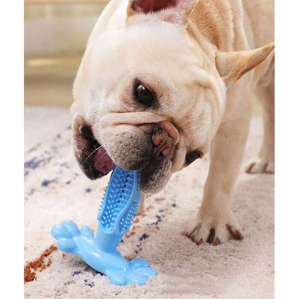 Jouet à Mâcher et à Laver les Dents PuppySafe