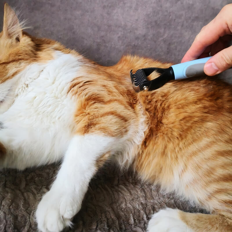 Peigne de Toilettage Professionnel pour Chiens & Chats PuppySafe™