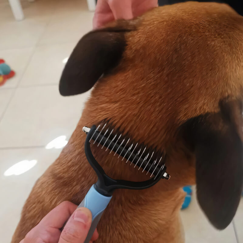 Peigne de Toilettage Professionnel pour Chiens & Chats PuppySafe™