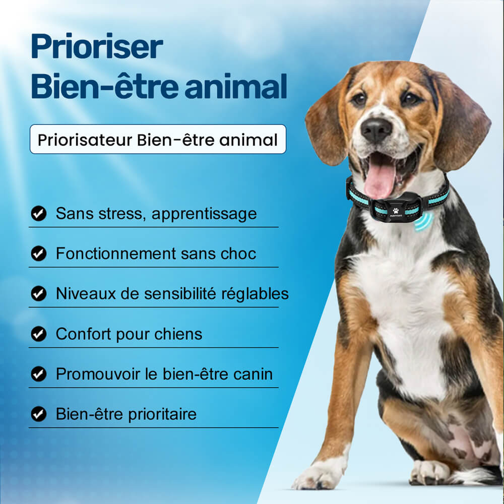 Collier de Dressage PuppySafe - Sans Choc Électrique