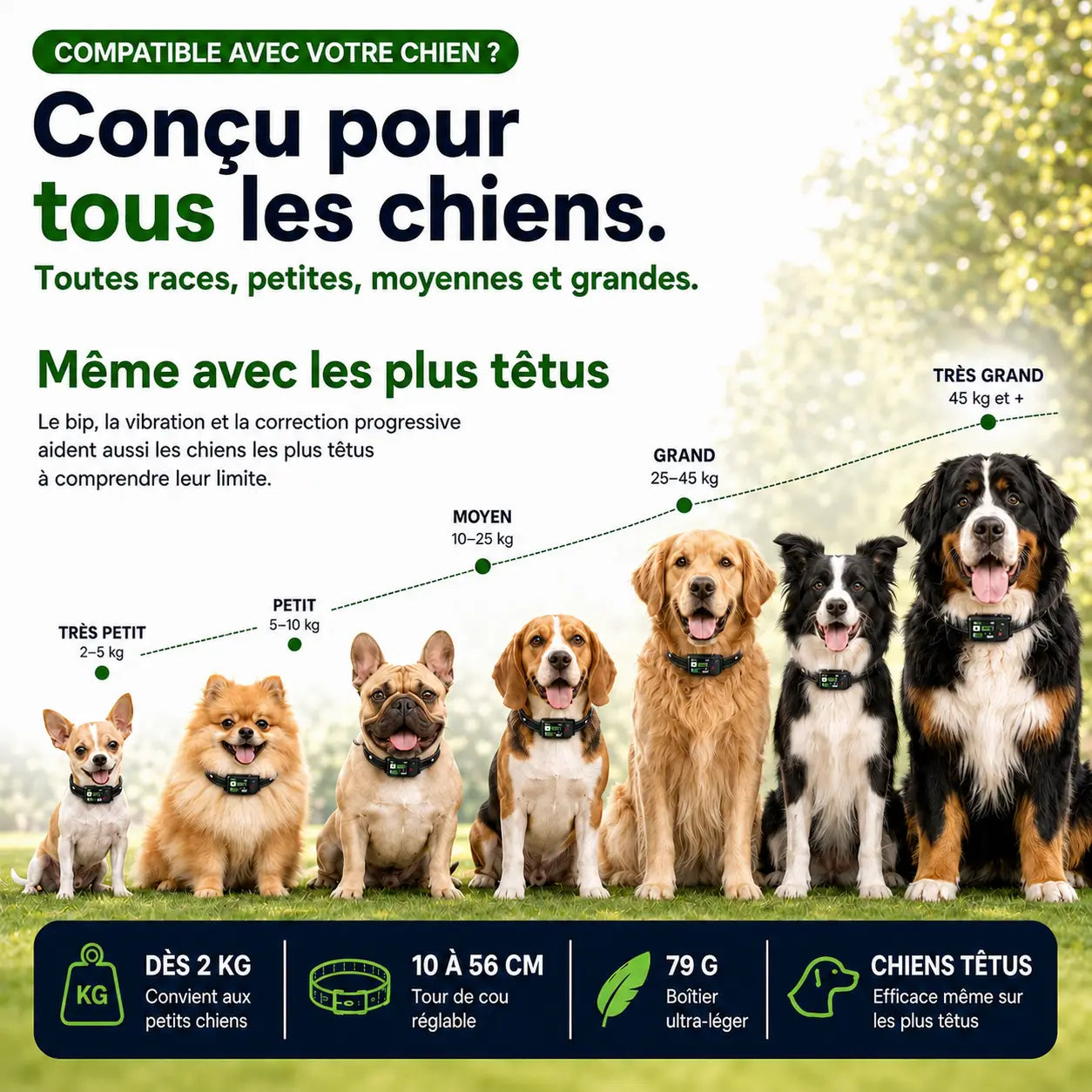 Le 1er Collier Anti-Fugue GPS SANS ABONNEMENT