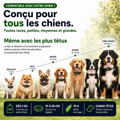 Le 1er Collier Anti-Fugue GPS SANS ABONNEMENT