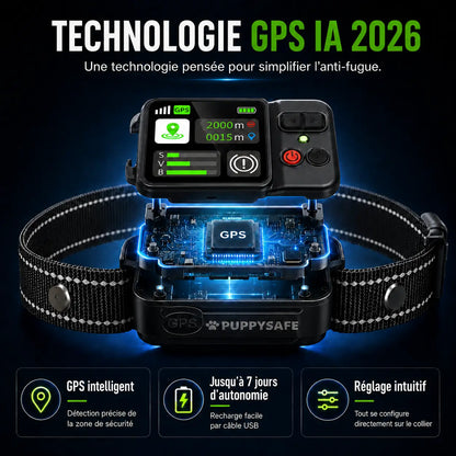Le 1er Collier Anti-Fugue GPS SANS ABONNEMENT
