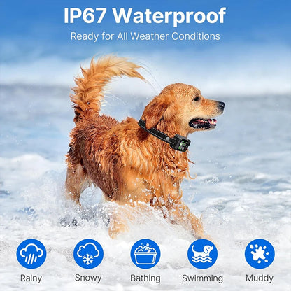 La 1ère Clôture Anti-Fugue GPS SANS ABONNEMENT – Sécurité Totale, Zéro Travaux